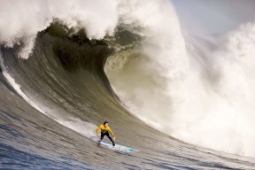 2026世界杯-冰火两重天，大坂直美十连败，塞尔维亚教练危中求变
